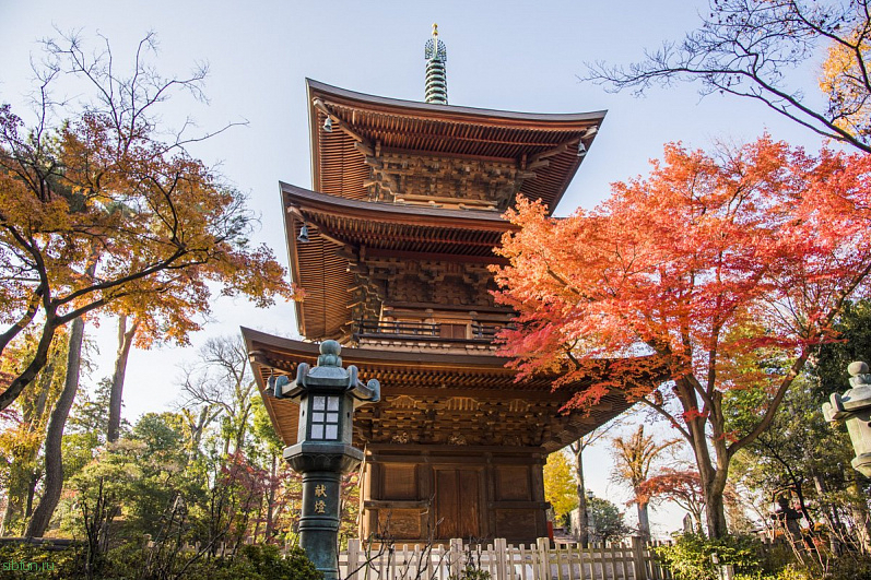 Готокудзи – буддистский храм, где появились статуэтки Манэки Неко