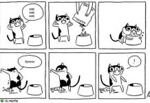 Забавные комиксы о котах