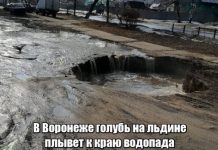 Прикольные картинки ))) # 12.03.2019