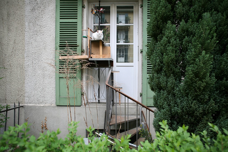 Кошачьи лестницы в городе Берн в Швейцарии