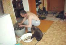 Фото с родных просторов