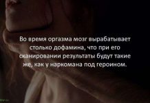 Интересные факты о разном