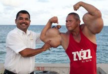 Все о синтоле и синтоловых монстрах