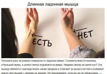 Доказательства, которые свидетельствуют что мы произошли от животных