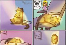 Смешные комиксы