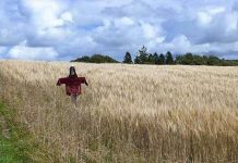 Самые ужасные вакансии в мире