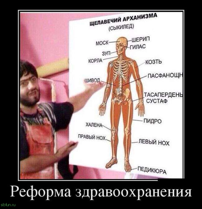 Демотиваторы