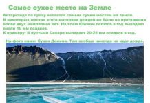 10 интересных фактов о Антарктиде