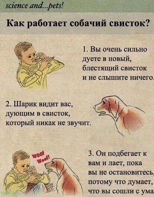 Смешные комиксы