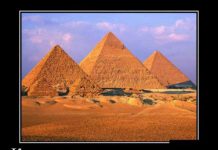 Веселые демотивационные картинки