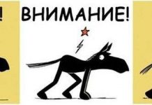 Смешные комиксы