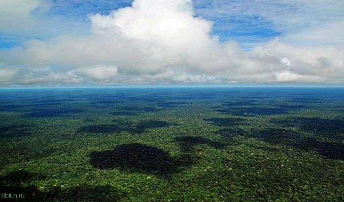 Познавательные факты об Амазонке