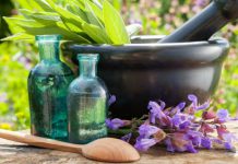 Эти лекарственные растения были засекречены в СССР