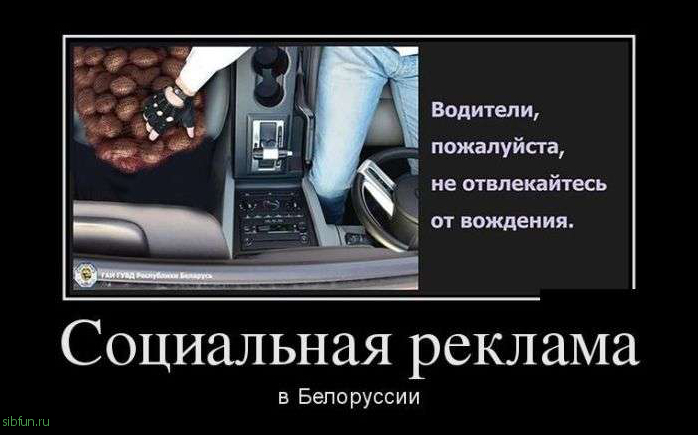 Свежая демотивация