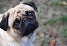 Любопытные факты о столице России