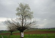 Любопытные факты