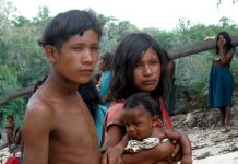 Языки земли с причудливыми особенностями