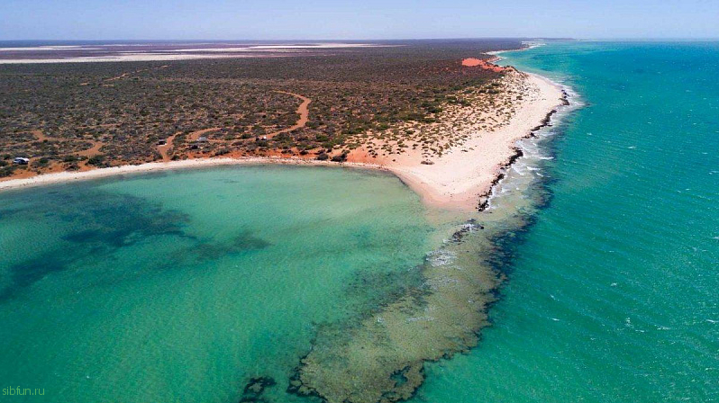 Уникальные гипсовые озёра в заливе Shark Bay в Австралии