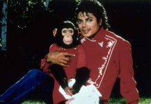 Интересные факты о Майкле Джексоне