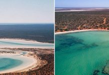 Уникальные гипсовые озёра в заливе Shark Bay в Австралии