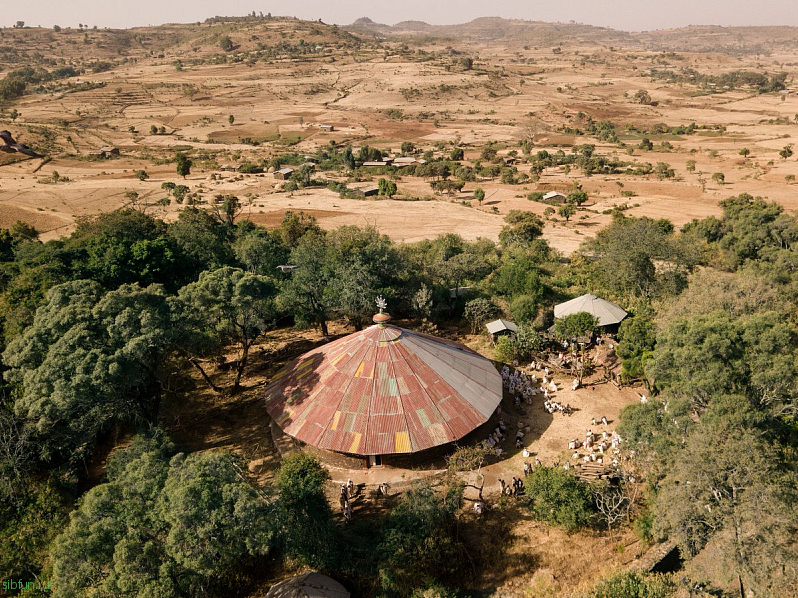 Священные церковные леса в Эфиопии – последние зелёные оазисы страны