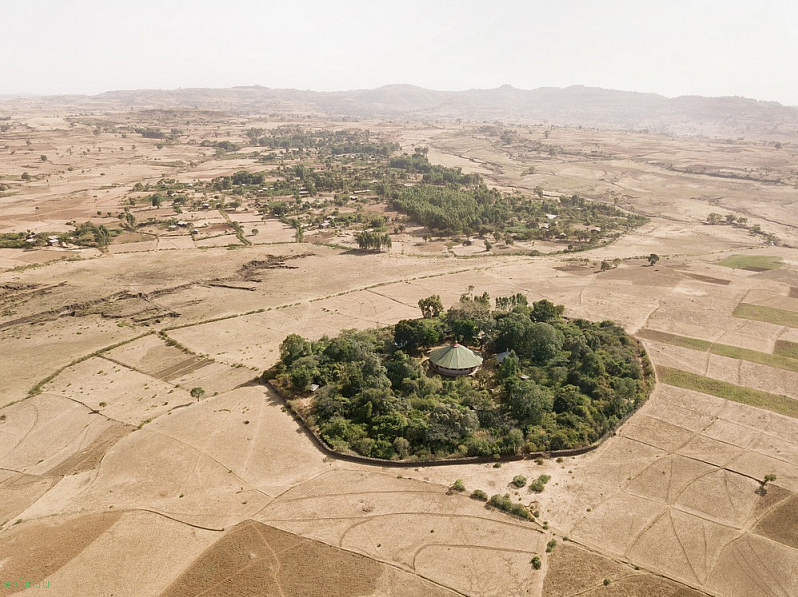 Священные церковные леса в Эфиопии – последние зелёные оазисы страны