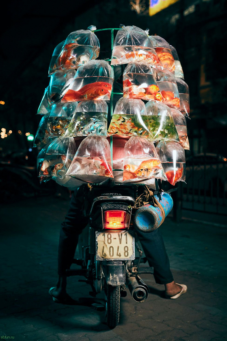 «Курьеры Ханоя и их удивительный багаж» – проект фотографа из Лондона