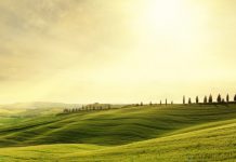 Интригующие древнеримские продукты питания