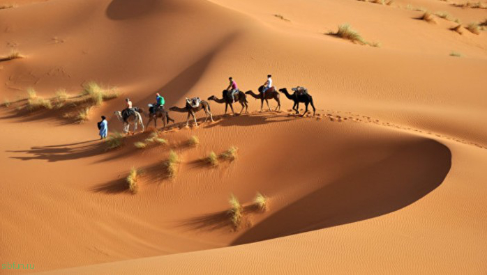 Тайны пустыни Сахара, которые раскрыли современные ученые