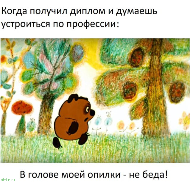 Прикольные картинки )))