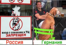 11 странных привычек немцев