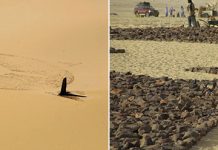 Мемориал Рейса 772 UTA – один из наименее доступных мемориалов в мире