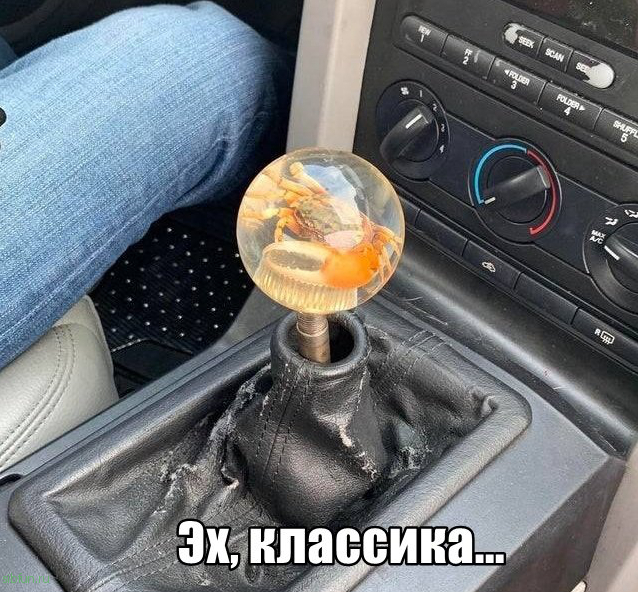 Прикольные картинки )))