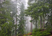 Устрашающая Трансильвания