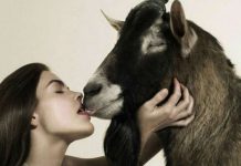 Шедевры антитабачной рекламы со всего мира