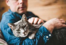 Полезные советы для Мурлык по уходу за Человеком