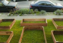 Огород перед домом за 60 дней