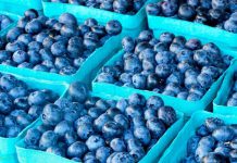 Почему нужно есть чернику каждый день