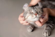 Слова, которые лучше не произносить в разных странах