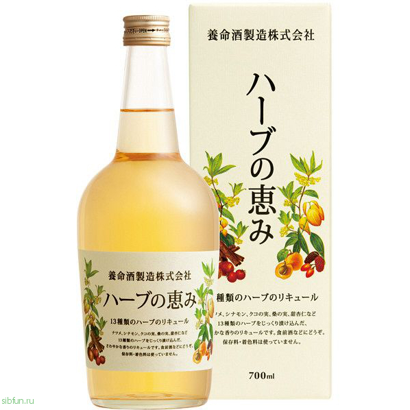 Потребление алкоголя в японском обществе