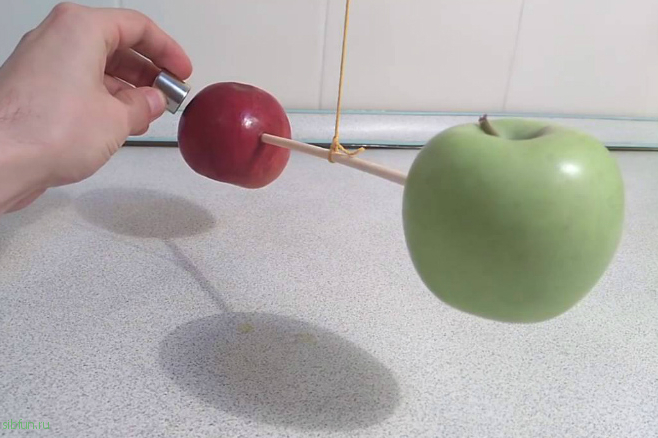 Эксперимент: ищем железо в яблоке с помощью магнита