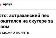 Забавные и странные заголовки, которые заставят вас улыбнуться