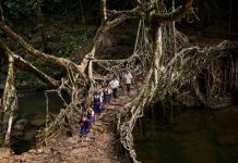 Самая влажная точка Земли