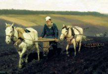 Как русские пословицы и поговорки отражают особенности национального характера