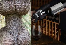 Неизвестные названия всем известных людей