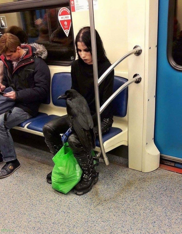 Чего только не увидишь в метро