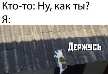 Фотоподборка понедельника (30 фото)