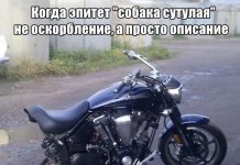 Прикольные картинки ))) # 22.08.2019