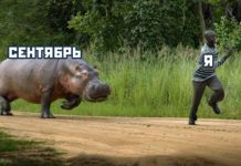 Прикольные картинки ))) # 14.08.2019