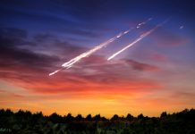 Самые оригинальные судебные иски